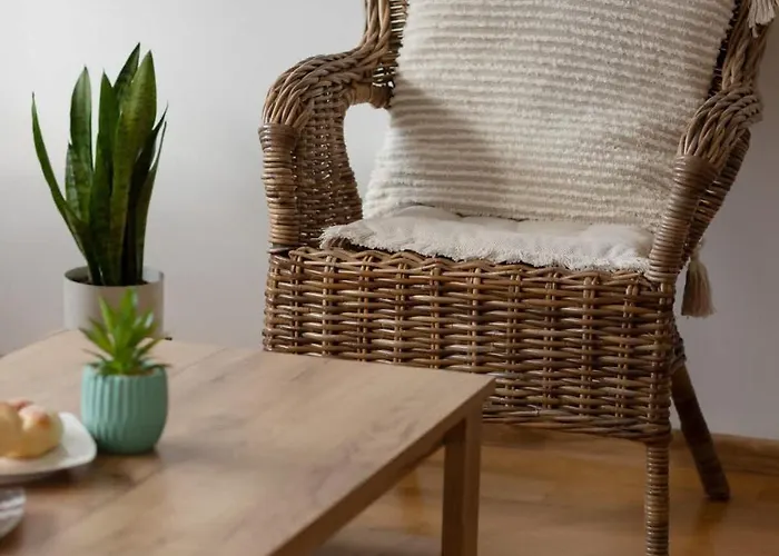 Bright Boguslawskiego Perfect For Remote Work By Renters Daire