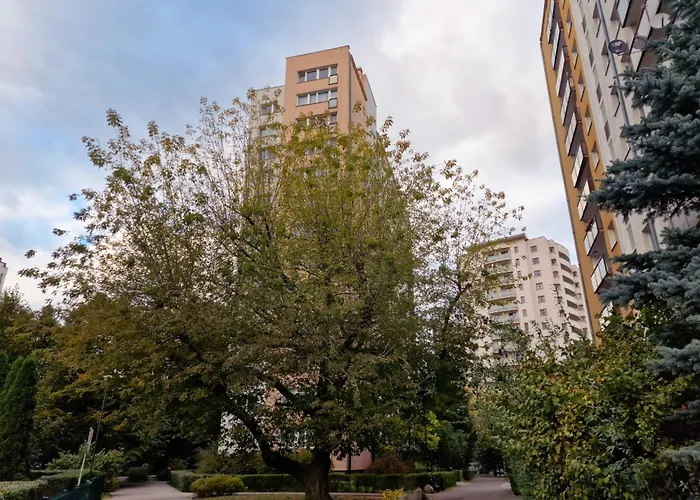 Bright Boguslawskiego Perfect For Remote Work By Renters