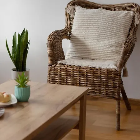 Bright Boguslawskiego Perfect For Remote Work By Renters Apartman